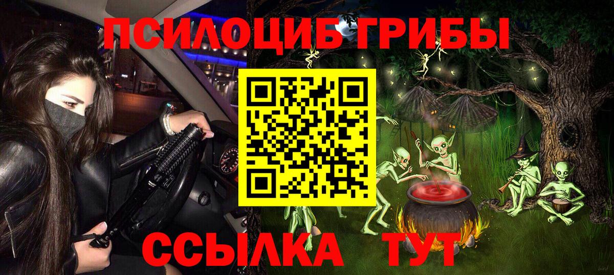 Псилоцибиновые грибы Magic Shrooms  Вход с VPN  Северск  купить закладку  Галлюциногенные грибы Psilocybe 