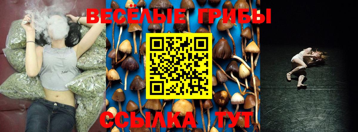 Галлюциногенные грибы MAGIC MUSHROOMS Северск